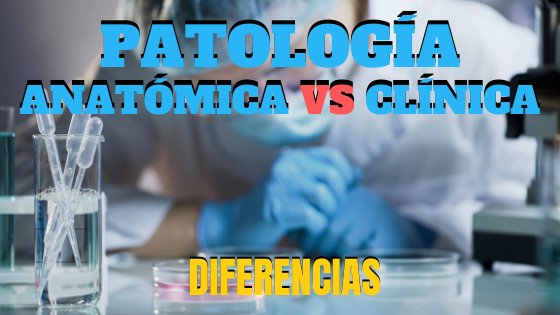 Diferencias entre anatomia patologica y patologia clinica